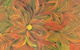 Iranti Art Gallery - thumb 2