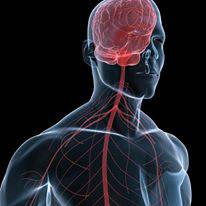 Scott Martin Acupuncture - Click Find 4