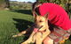 Golden Paw Tregeagle - thumb 1