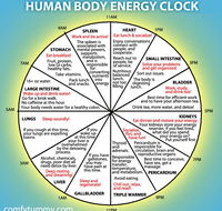 White Dragon Chinese Medicine - Click Find