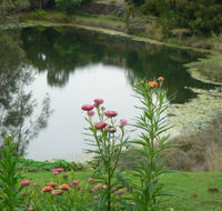 Banora Holistic Healing - Click Find