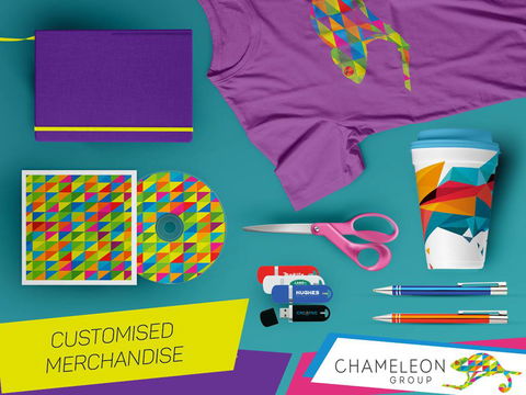 Chameleon Group - Click Find 2