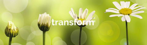 Achieve Business Dynamics - Click Find 1