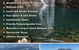 Cardwell & Hinchinbrook Tours & Information - thumb 2