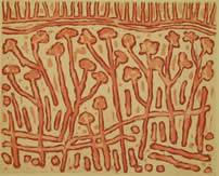 Northern Editions Printmaking Studio & Gallery - Click Find 2