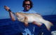 Whitsunday Fishing World - thumb 1