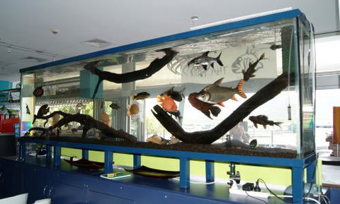 Aquariums In Cairns - Click Find 2
