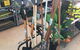 As Green As Garden Centre - thumb 0