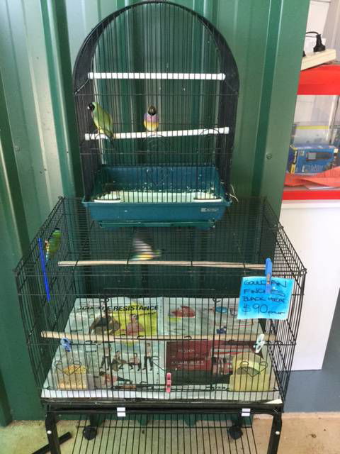 As Green As Garden Centre - Click Find 4