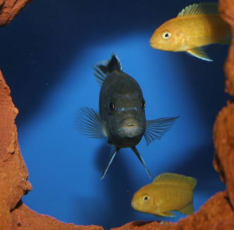 River To Reef Aquarium - Click Find 1
