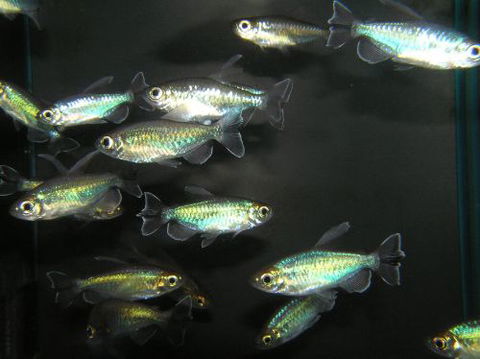 River To Reef Aquarium - Click Find 3