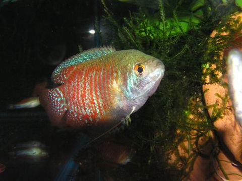 River To Reef Aquarium - Click Find 4