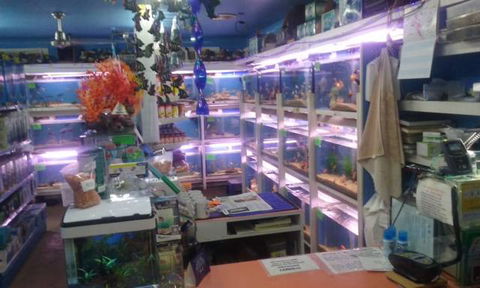 Summerland Aquarium - Click Find 3