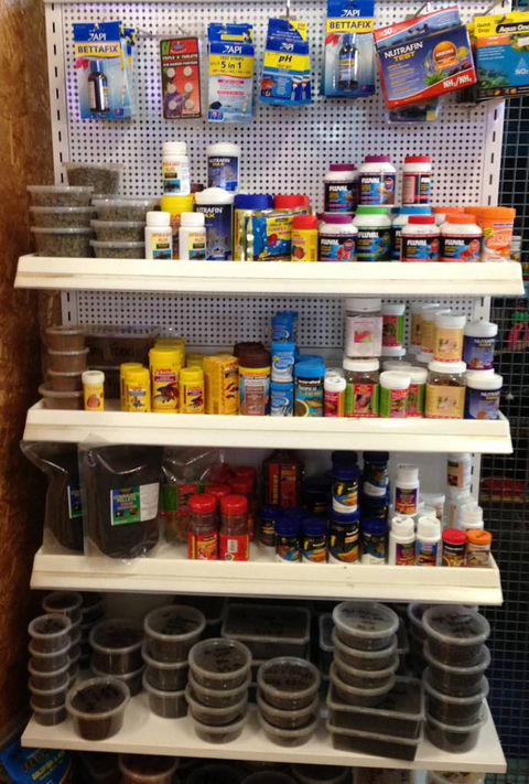 Richmond Valley Pet Supplies - Lavinia 2