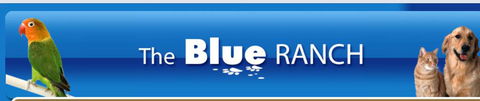 The Blue Ranch - Click Find 4