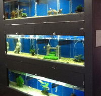 Illawarra Pet Supplies - Click Find