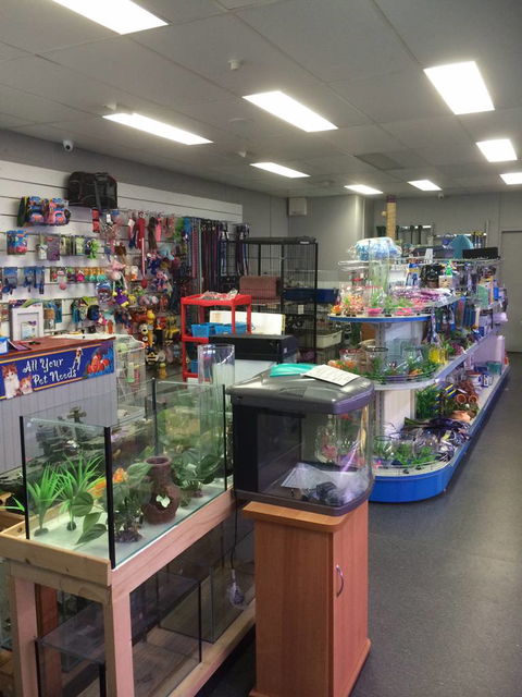 Nambour Pet Shop - Bet 4u 0