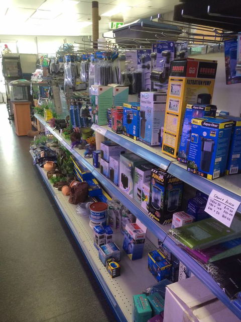 Nambour Pet Shop - Bet 4u 2