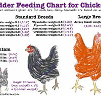 Feed and Fodder - Click Find