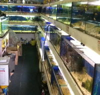 Clearwater Aquariums - Click Find