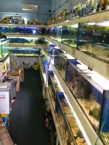 Clearwater Aquariums - Click Find 0