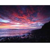 Ocean Art Australia - Click Find