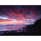 Ocean Art Australia - Clickz 0