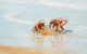 Neale Joseph Fine Art Gallery - thumb 3