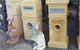 Campbells Truck & Bobcat & Landscape Supplies - thumb 1