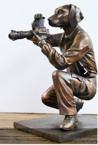 Martial Art Schools Suppliers Byron Bay NSW Bet 4u