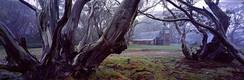 Peter Jarver Fine Art Photography - Click Find 2