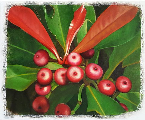 Claire Souter Gallery - Click Find 2