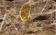 Museum & Art Gallery Of The Northern Territory - thumb 1