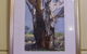 Art & Crafts Mudgee - thumb 1