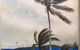 Bombo Clothing & The Bombo Gallery - thumb 1