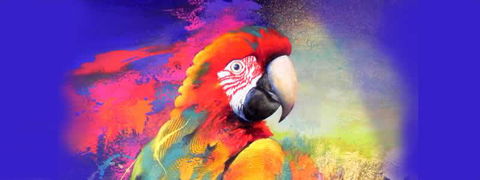Tina Cooper Gallery - Click Find 2