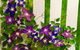 Seaview Artists Gallery - thumb 2