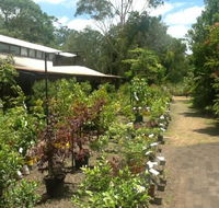 Fairhill Native Plants Retail - Click Find