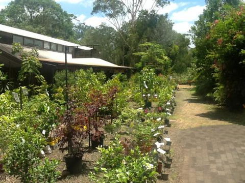 Fairhill Native Plants Retail - Click Find 0