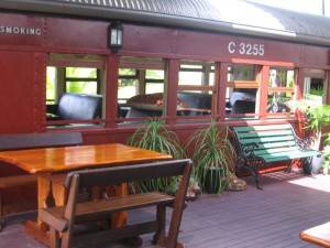 Red Rattlers Gallery - Bet 4u 1