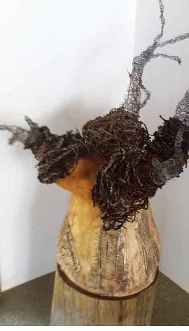 Martial Art Schools Suppliers Murwillumbah NSW Lavinia