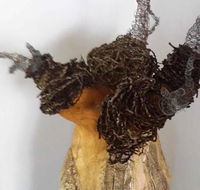 Caldera Art Gallery - Click Find