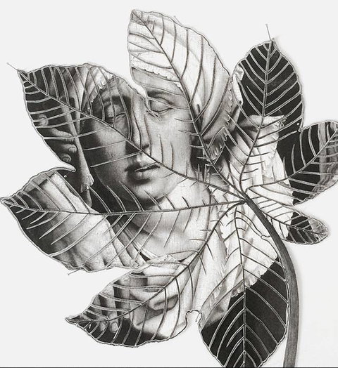 Wollongong Art Gallery - Click Find 1