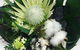 Floweresque Flowers & Gifts - thumb 1