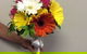 Toronto Floral Boutique - thumb 2