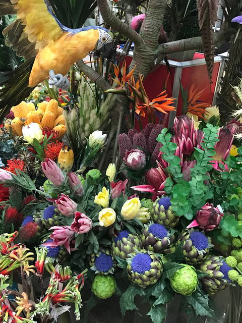 Forever Gardens - Click Find 4