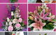 Away With Flowers - thumb 1