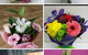 Away With Flowers - thumb 3