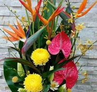 Blossoms of Tweed Banora - Click Find