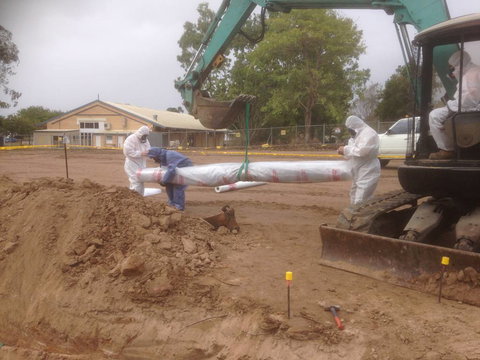 Kwik Lift Pty Ltd - Bet 4u 1